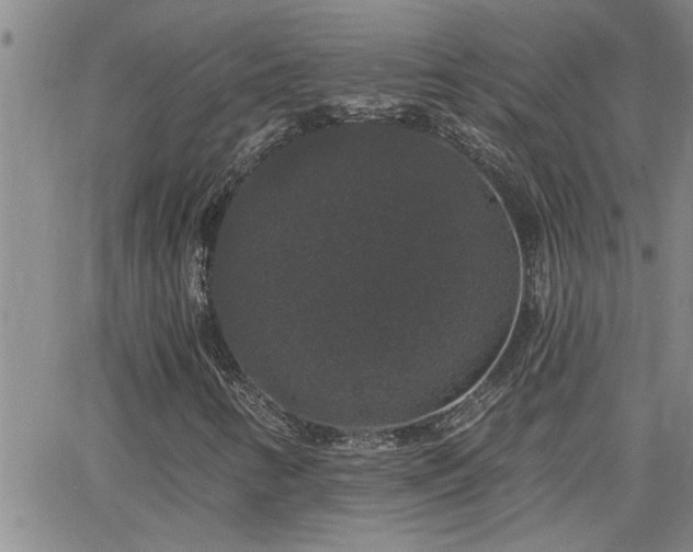 X0000066491346200603171113