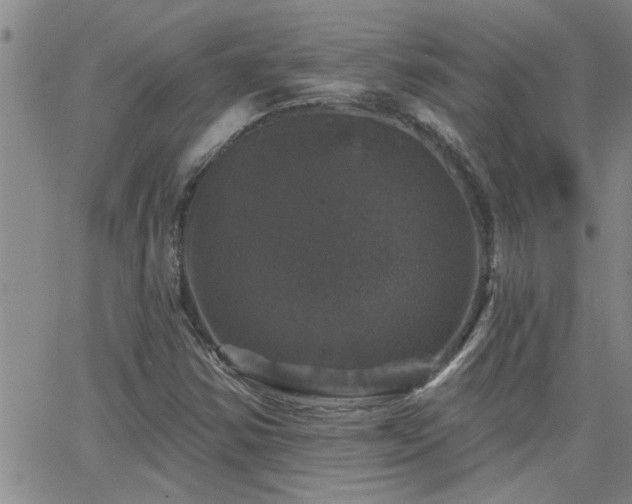 X0000066491354200603171113