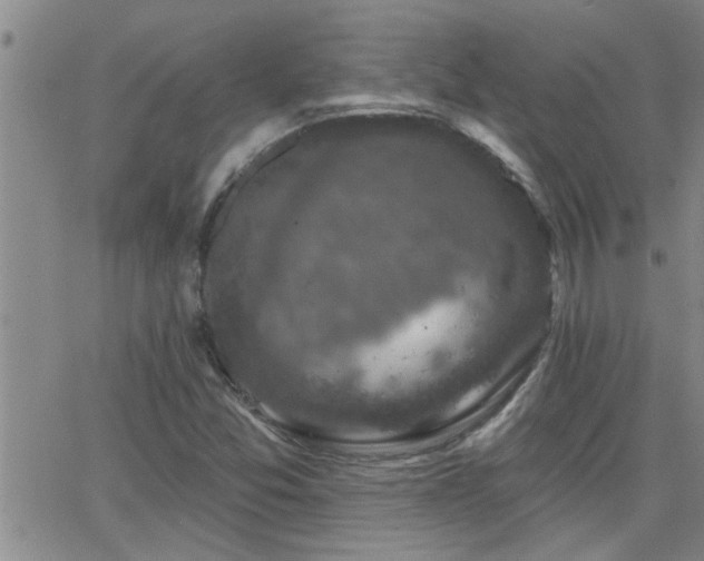 X0000066491357200603171112