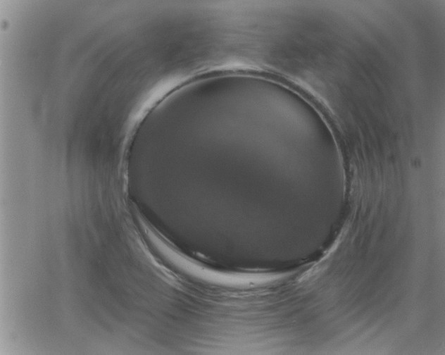 X0000066491367200603171112