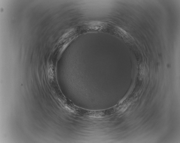 X0000066491394200603171111