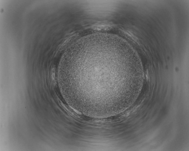 X0000066491396200603171111