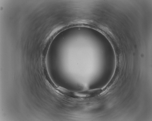 X0000066491404200603171111