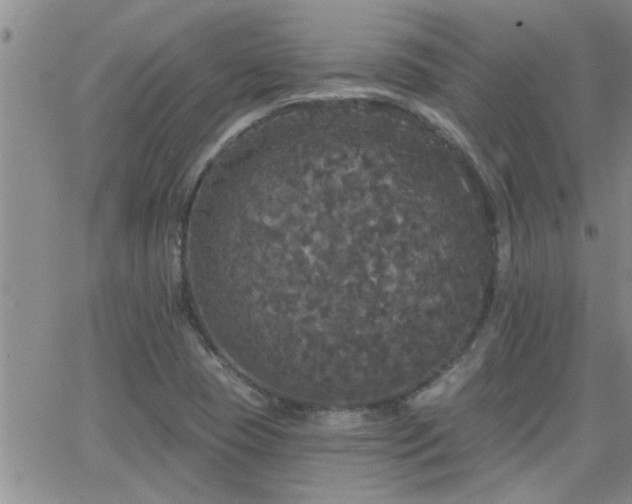 X0000066491409200603171111