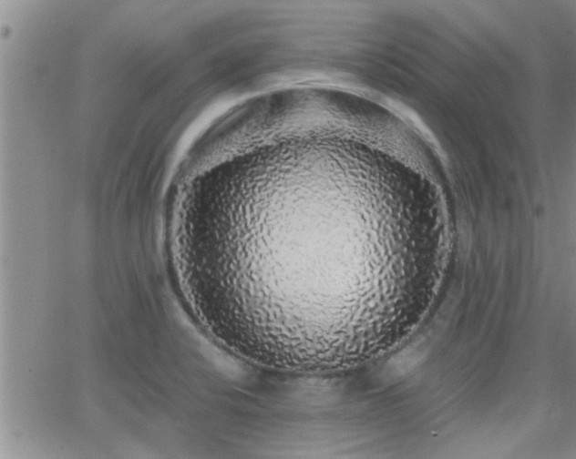 X0000066491424200603171112