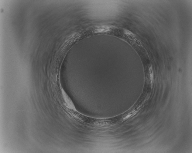 X0000066491441200603171111