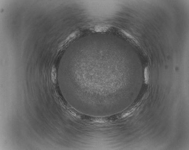 X0000066491443200603171111