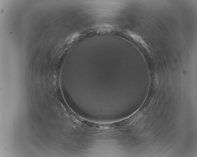 X0000066491445200603171111