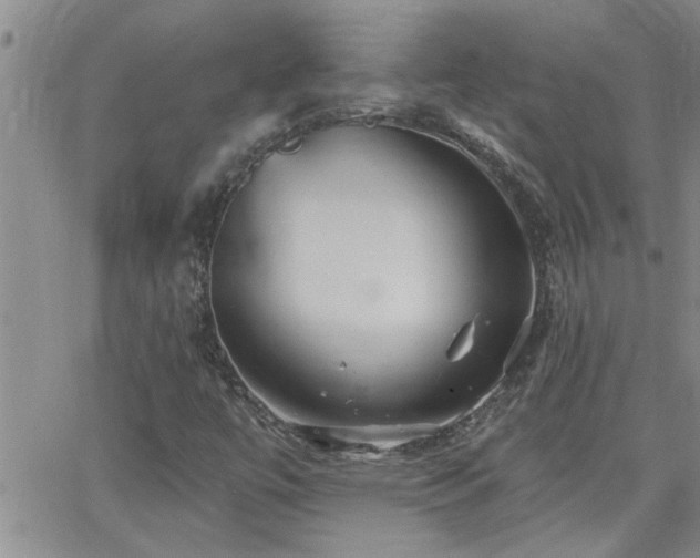 X0000066491447200603171111