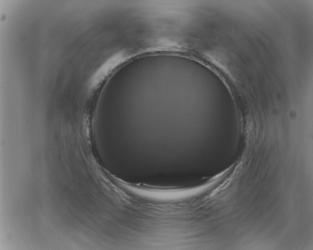 X0000066491455200603171111