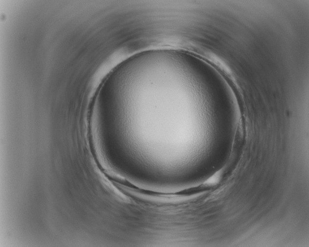 X0000066491480200603171110