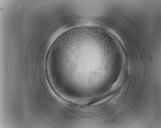 X0000066491483200603171110