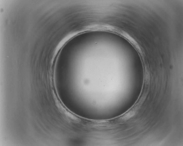 X0000066491486200603171110