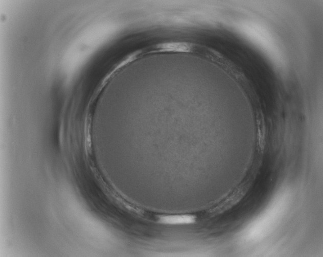 X0000066491487200603171110