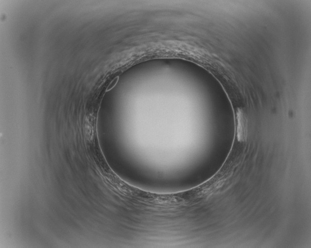 X0000066491491200603171110