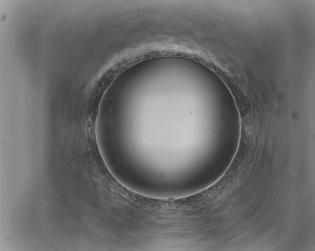 X0000066491495200603171110