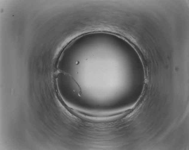 X0000066491500200603171110