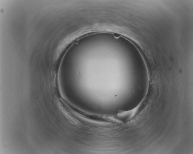 X0000066491507200603171110