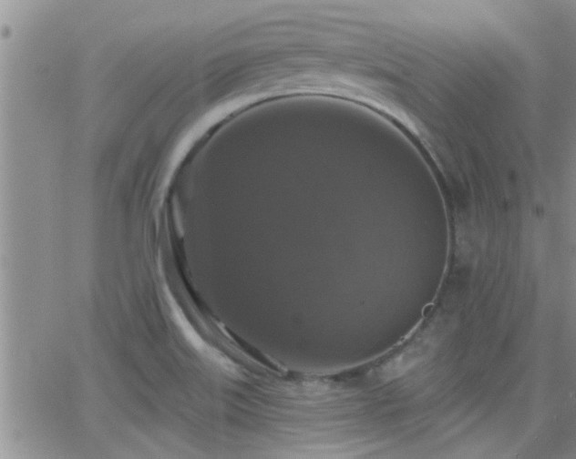 X0000066491515200603171110