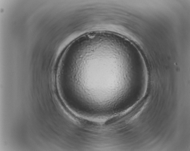 X0000066491517200603171110