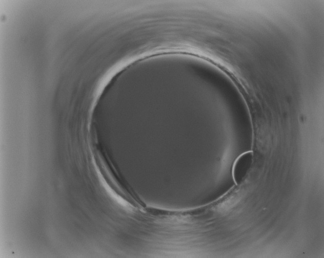 X0000066491519200603171110