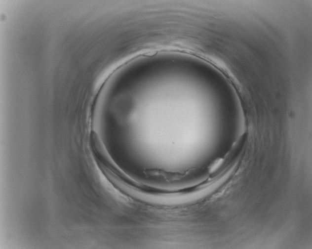 X0000066491524200603171110