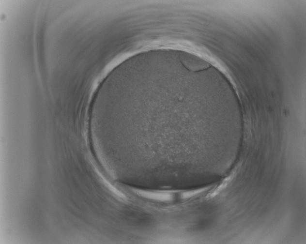 X0000066491525200603171110