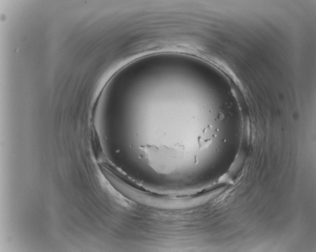 X0000066491532200603171110