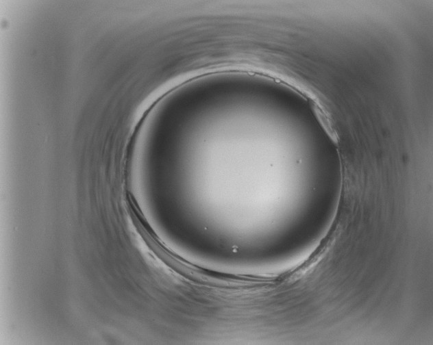 X0000066491534200603171110