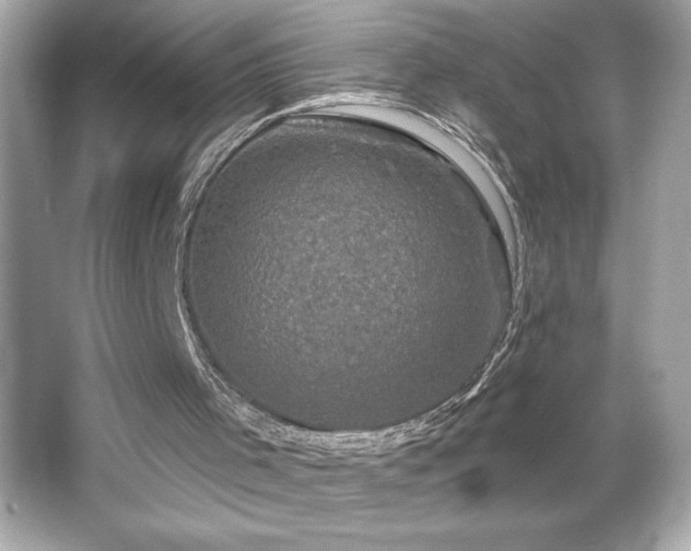 X0000066490001200603201309