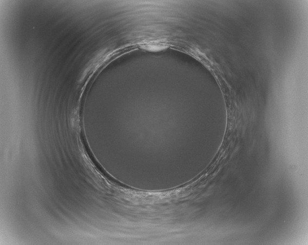 X0000066490002200603201309
