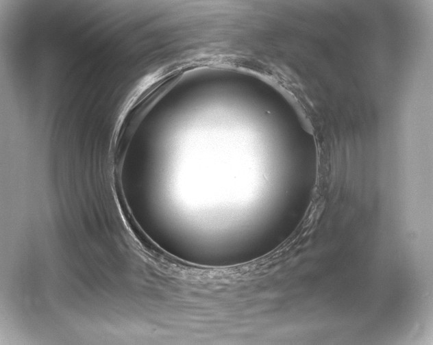X0000066490003200603201309