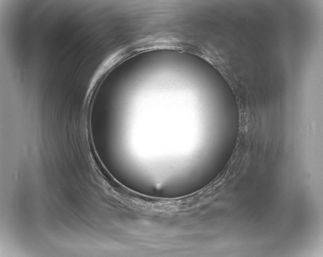 X0000066490004200603201309