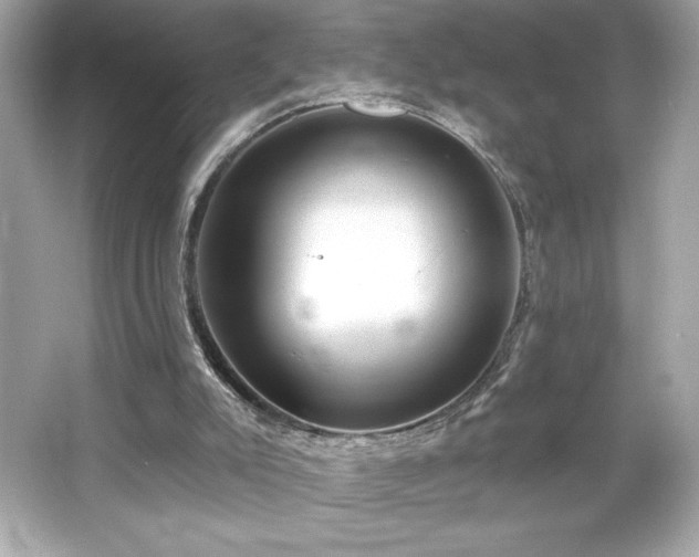 X0000066490007200603201309