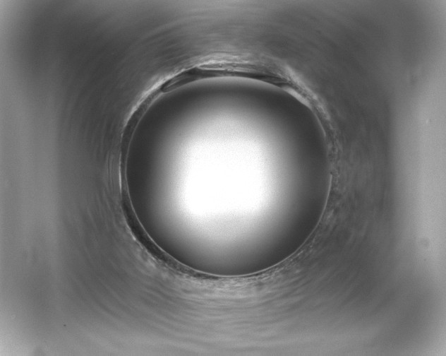 X0000066490011200603201309