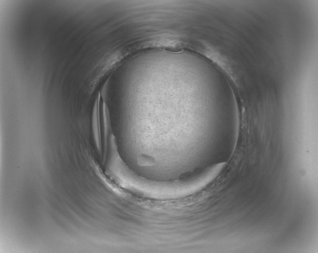 X0000066490013200603201309
