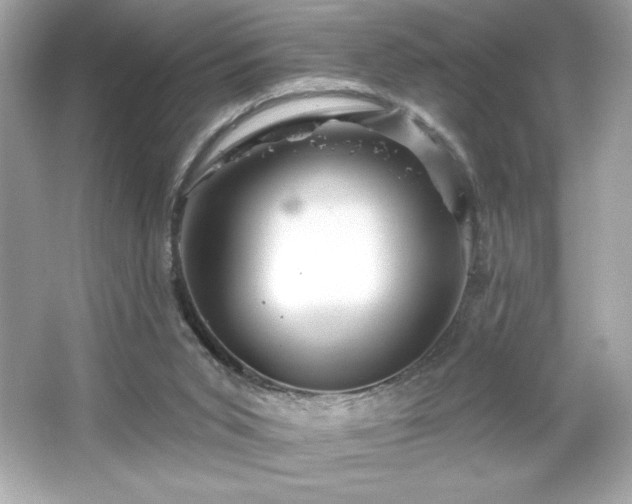 X0000066490015200603201309