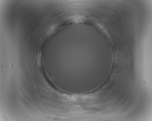 X0000066490018200603201309
