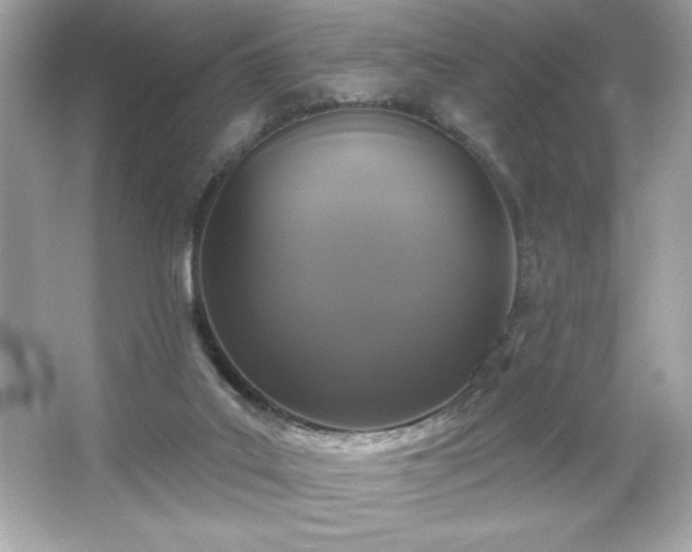 X0000066490019200603201309