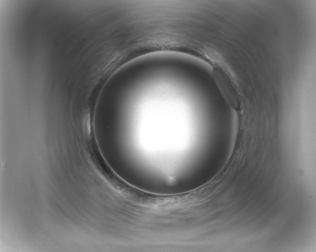 X0000066490021200603201309