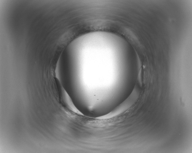 X0000066490025200603201309