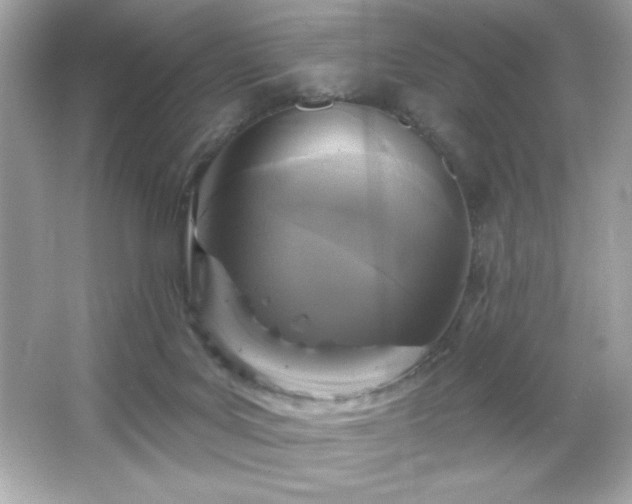 X0000066490027200603201309
