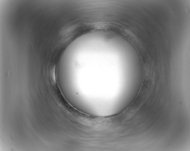 X0000066490028200603201308