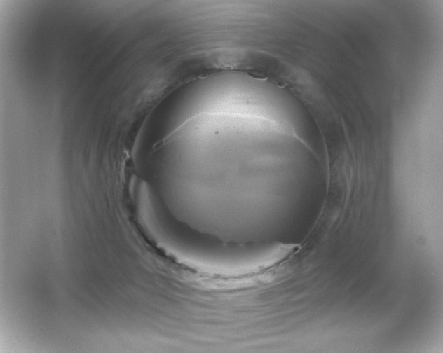X0000066490031200603201308