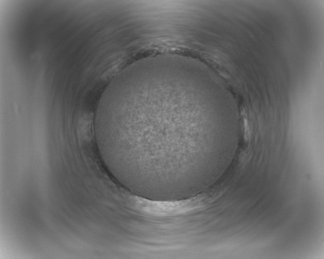 X0000066490034200603201308