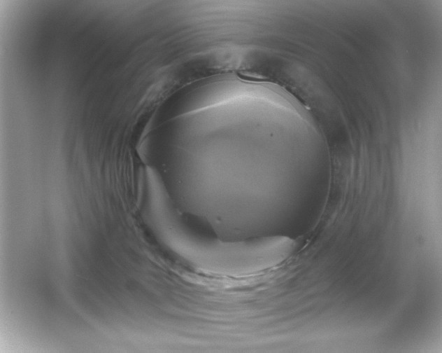 X0000066490035200603201308