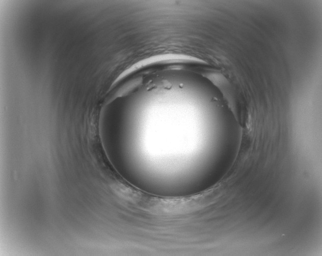 X0000066490037200603201308
