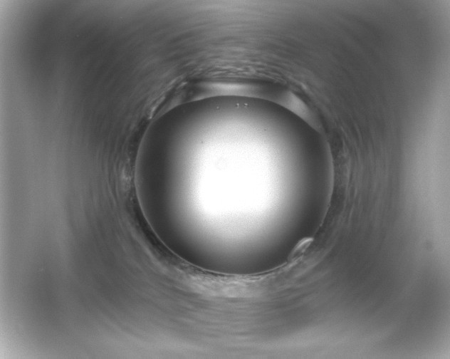 X0000066490040200603201308
