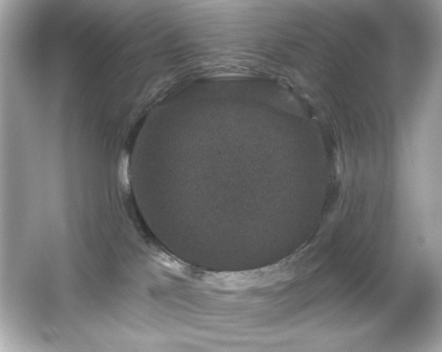 X0000066490041200603201308