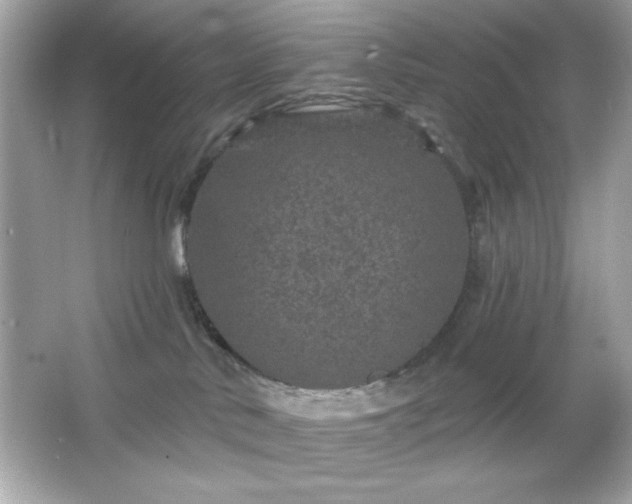 X0000066490042200603201308